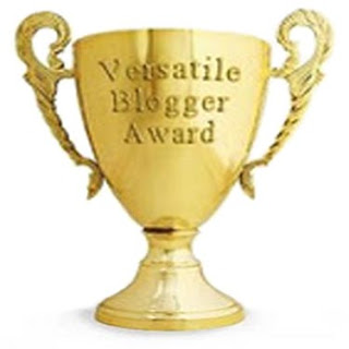 versatile-blogger-award-trophy